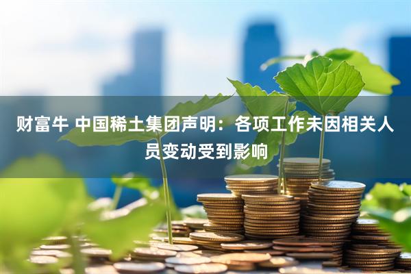 财富牛 中国稀土集团声明：各项工作未因相关人员变动受到影响
