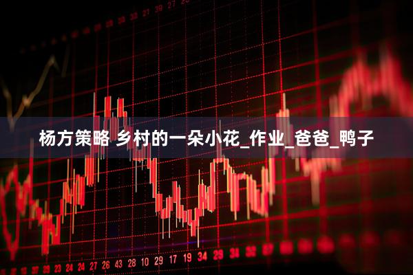 杨方策略 乡村的一朵小花_作业_爸爸_鸭子