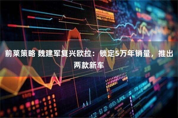 前莱策略 魏建军复兴欧拉：锁定5万年销量，推出两款新车