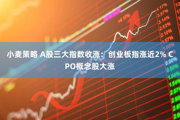小麦策略 A股三大指数收涨：创业板指涨近2% CPO概念股大涨