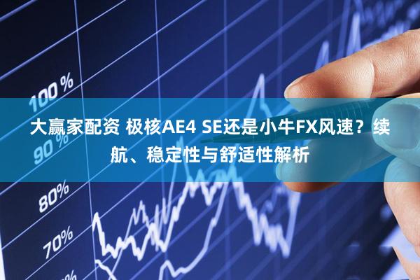大赢家配资 极核AE4 SE还是小牛FX风速？续航、稳定性与舒适性解析