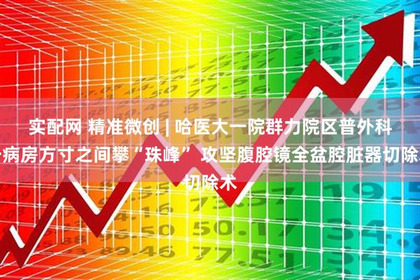 实配网 精准微创 | 哈医大一院群力院区普外科一病房方寸之间攀“珠峰” 攻坚腹腔镜全盆腔脏器切除术